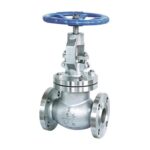 Globe-Valve